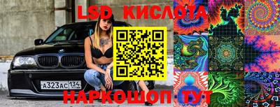 PSILOCYBIN Моздок