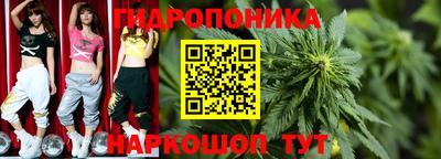 PSILOCYBIN Можга
