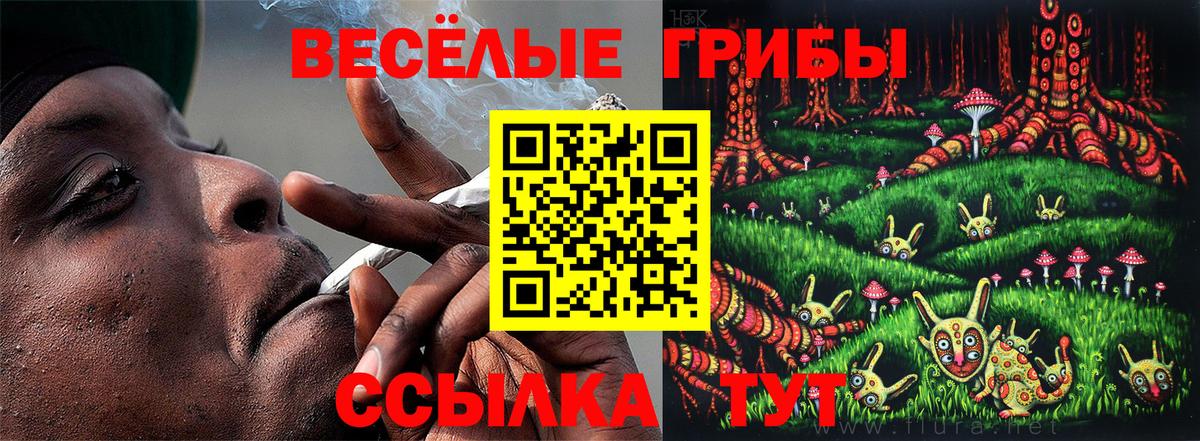 Псилоцибиновые грибы Magic Shrooms  Вход с VPN  купить закладку  Удомля 